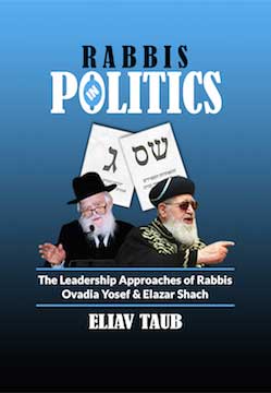 Rabbis in Politics